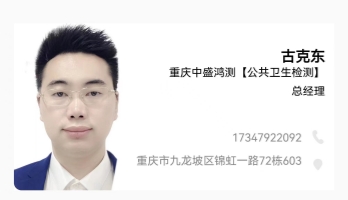 重庆中盛鸿测检测 古工